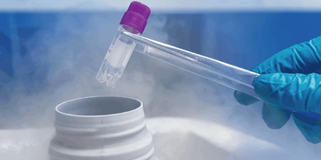 Beyond ivf มีลูกยากอยากมีลูก มีลูกแฝด ทำกิ๊ฟท์ IVF IUI ICSI ศูนย์รักษามีบุตรยาก