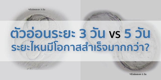 ตัวอ่อนระยะ 3 วัน VS 5 วัน ระยะไหนมีโอกาสสำเร็จมากกว่า beyond ivf หมอต้น พูนศักดิ์