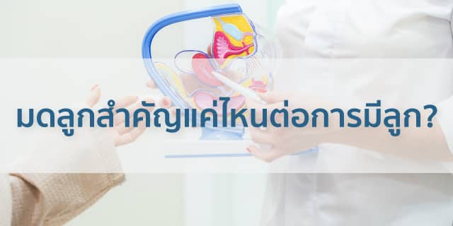 มดลูกสำคัญแค่ไหนต่อการมีลูก Beyond IVF
