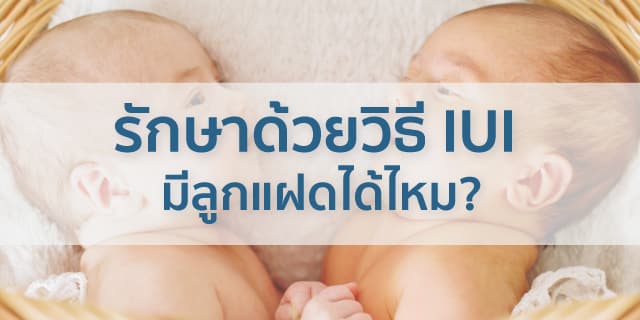 รักษาด้วยวิธี-IUI-ลูกแฝดได้ไหม