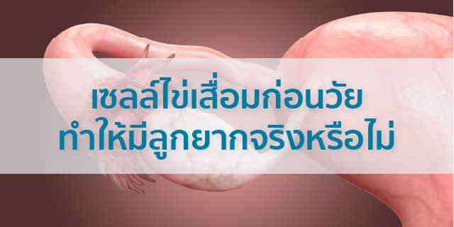 เซลล์ไข่เสื่อม ก่อนวัยทำให้มีลูกยากจริงหรือไม่ Beyond IVF
