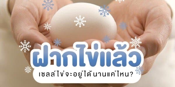 ฝากไข่ เก็บได้นานกี่ปีหรือเก็บได้นานแค่ไหน Beyond IVF