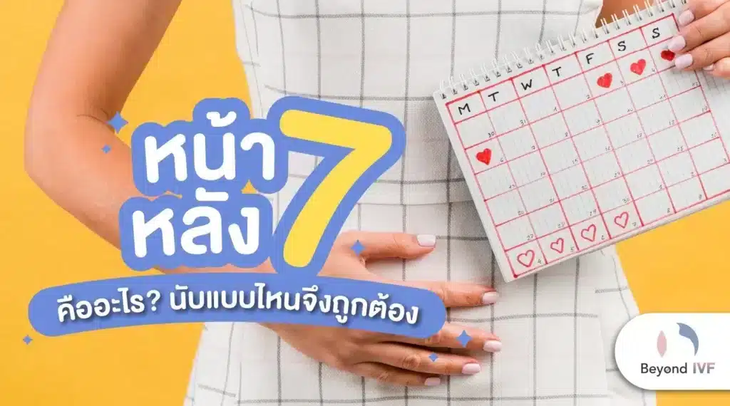 หน้า 7 หลัง 7