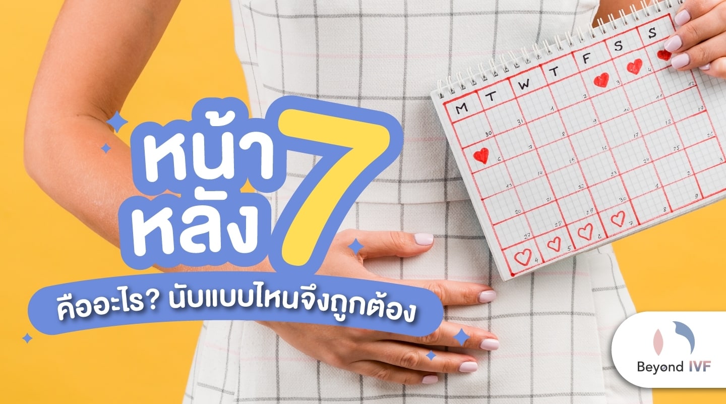 หน้า 7 หลัก 7