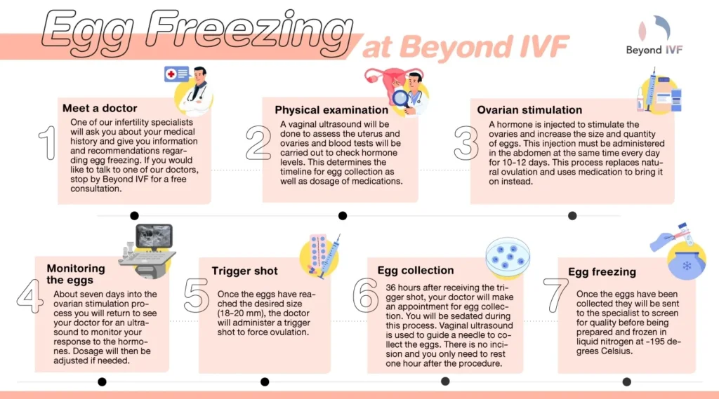 Egg Freezing procedure