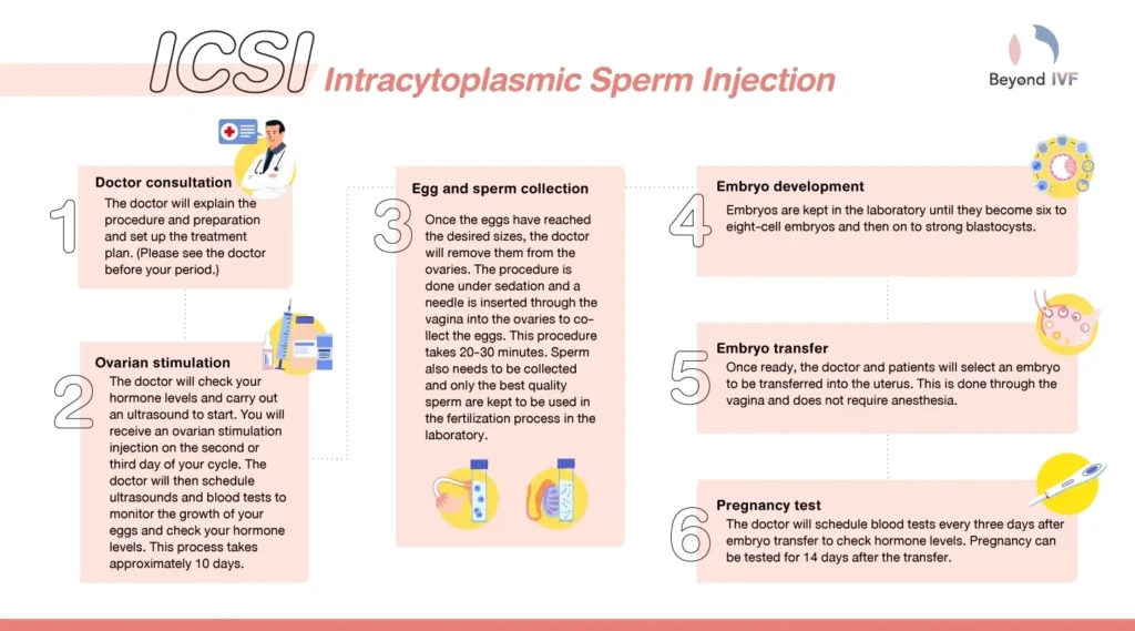 The ICSI Procedure