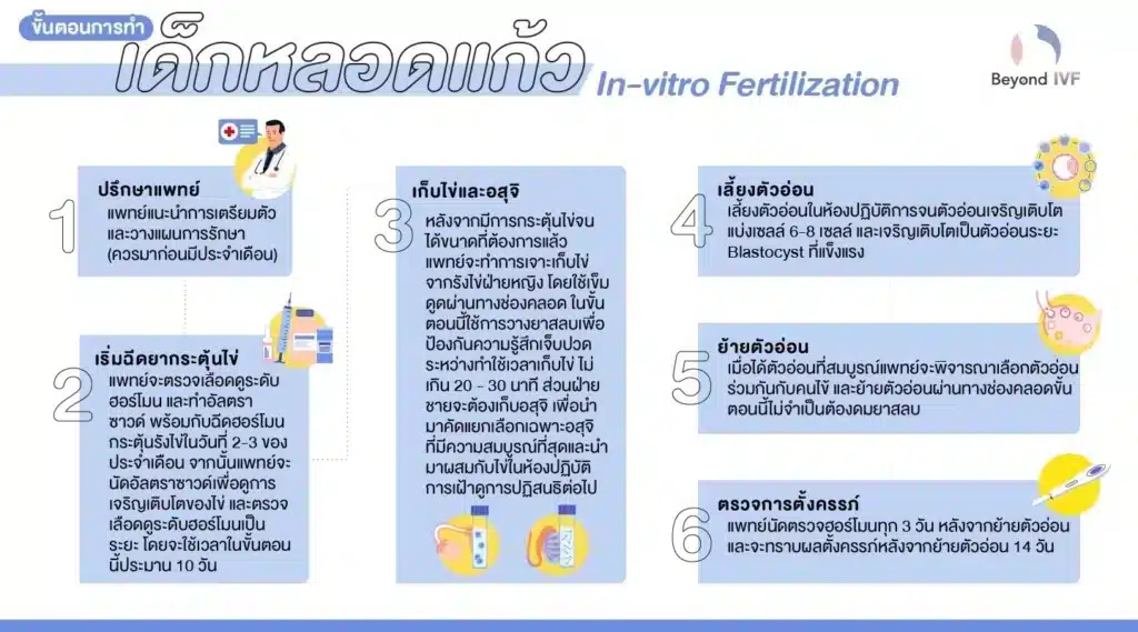 ขั้นตอนการทำเด็กหลอดแก้ว