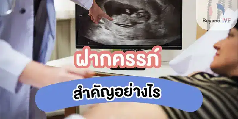 ฝากครรภ์สำคัญ
