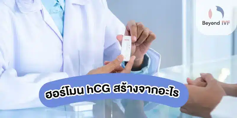 hCG สร้างจากอะไร