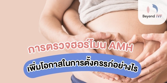 anti mullerian hormone คือ