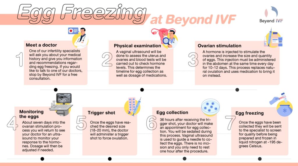 freeze eggs fertility cost