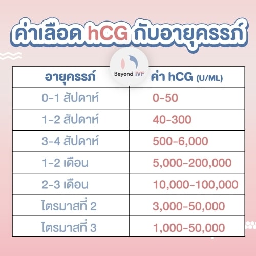 ค่าฮอร์โมน hCG