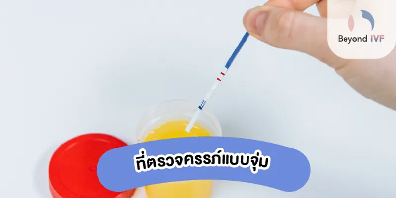 วิธีตรวจตั้งครรภ์ด้วยตัวเอง