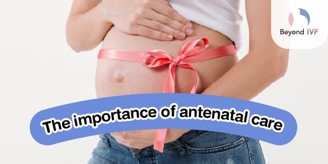 antenatal checkup