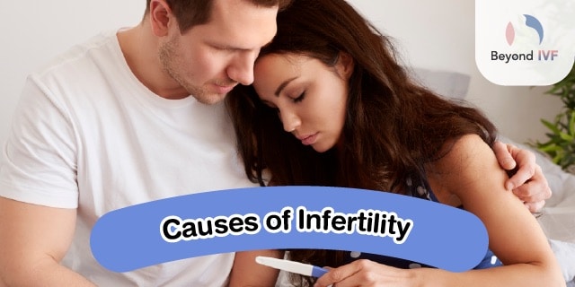 male infertility treatment