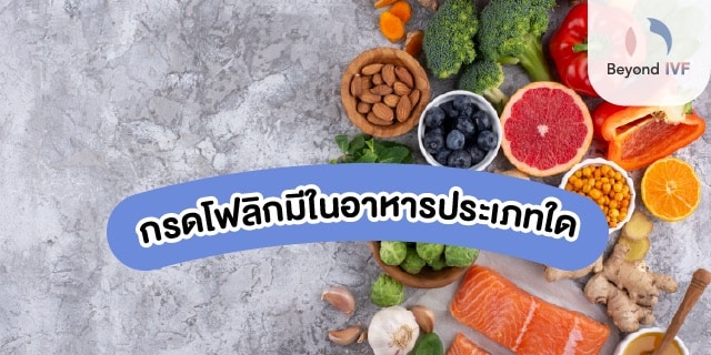 อาหารที่มีโฟลิกสูง