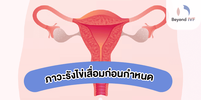 ประจำเดือนมาขาด ๆ หาย ๆ