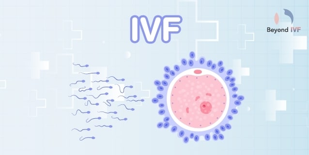 female fertility test