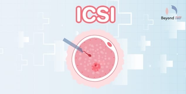 fertility test for men