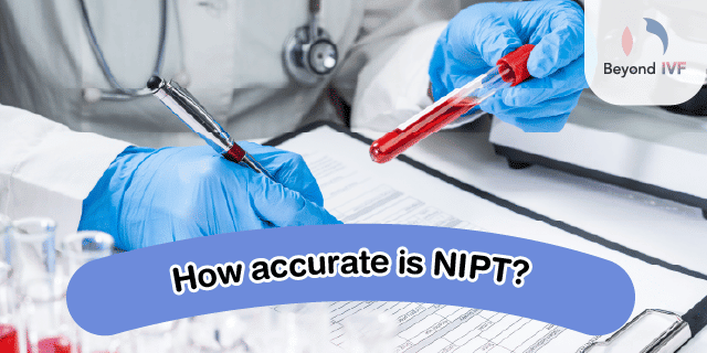 nipt blood test