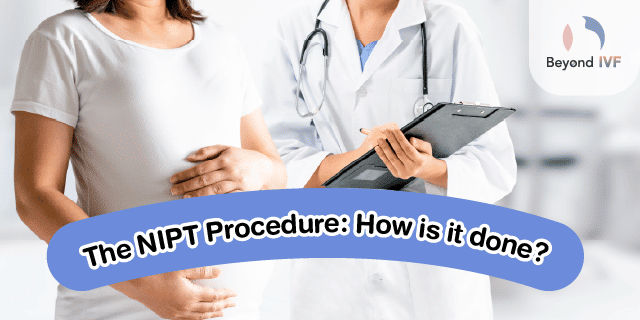 nipt test cost