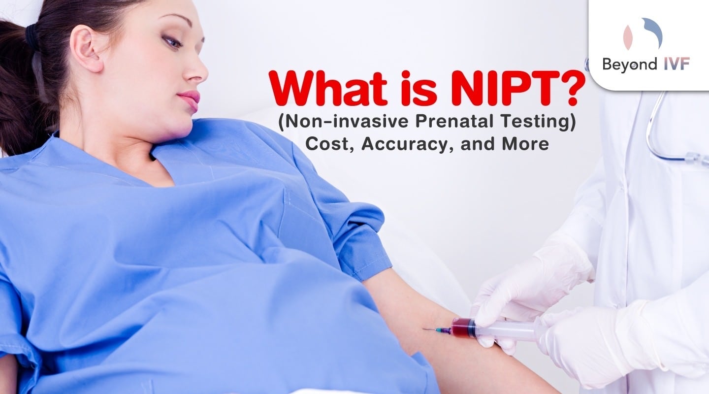 nipt test
