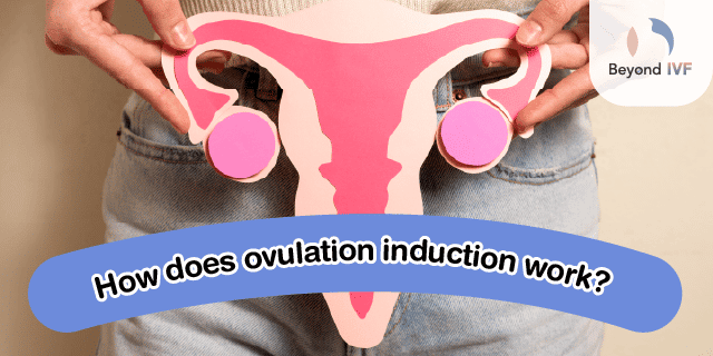 ovulation medications