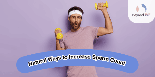 sperm increase food