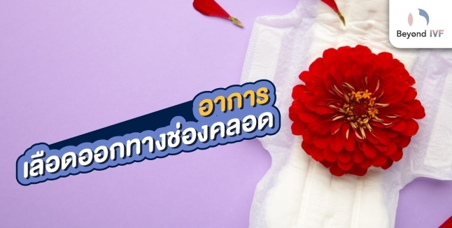 เลือดออกทางช่องคลอดสีแดงสดไม่เจ็บ
