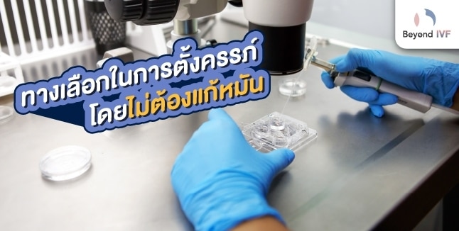 เป็นหมันตั้งครรภ์ได้ไหม